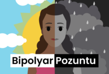 Bipolyar Pozuntu nedir